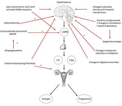 Precocious Puberty and Covid-19 Into Perspective: Potential Increased Frequency, Possible Causes, and a Potential Emergency to Be Addressed